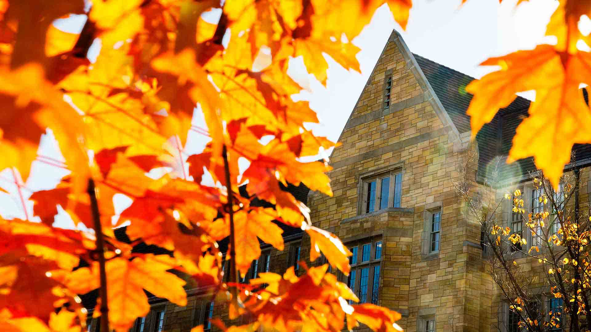 Aquinas hall in the fall