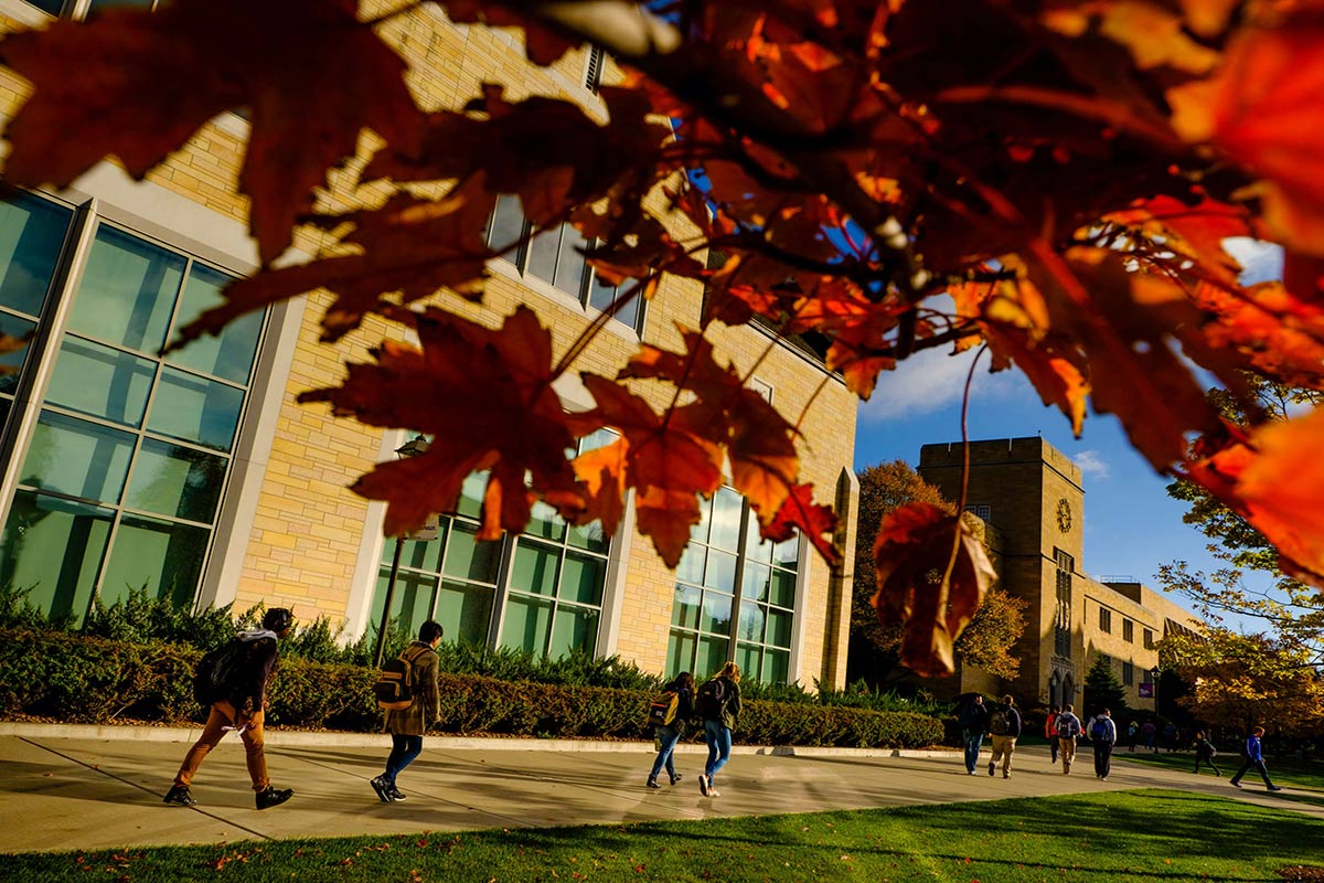 Students walk along the lower quad past autumn leaves.