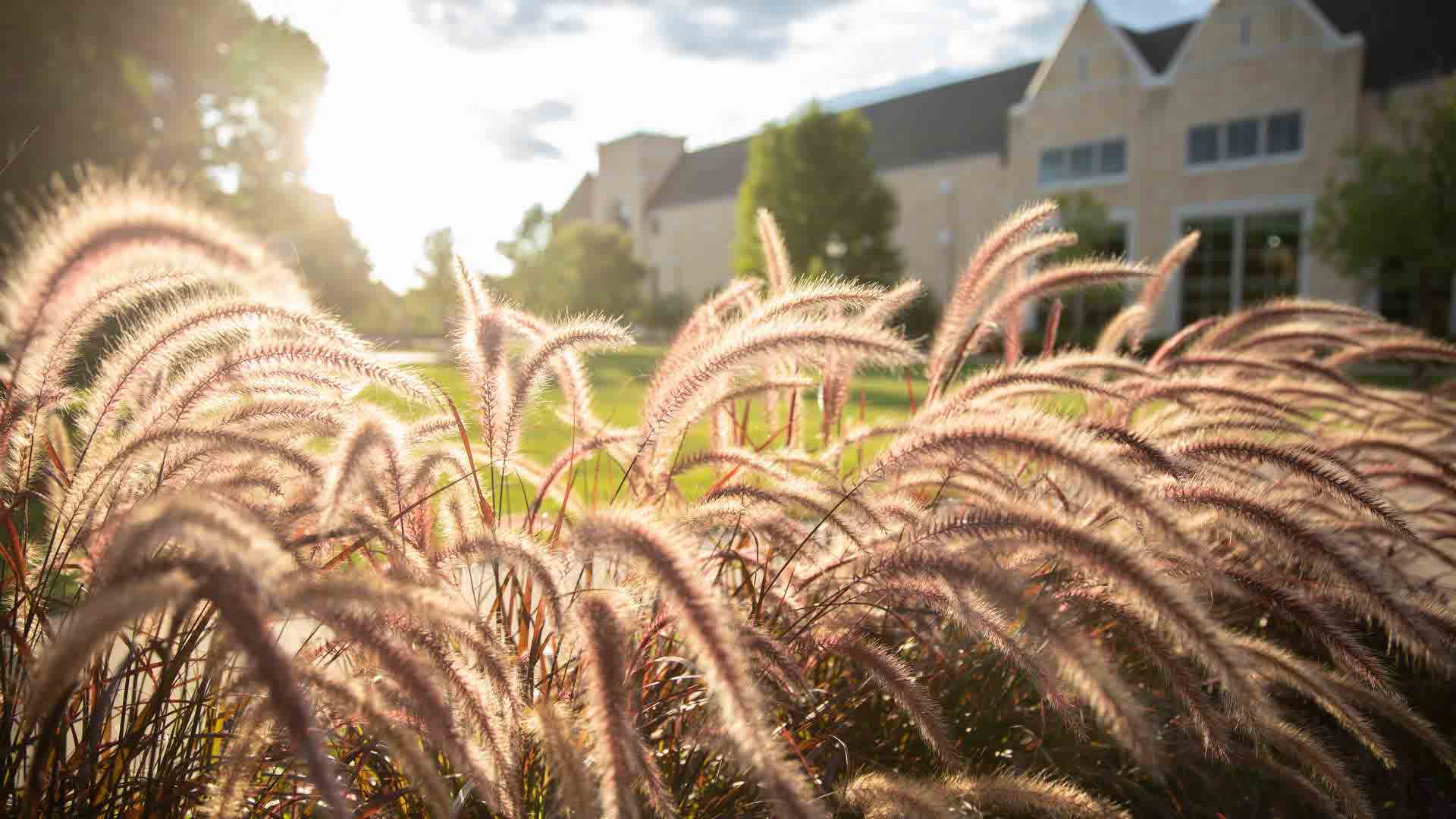 Tour guide gives a campus tour to high school students and parents. 