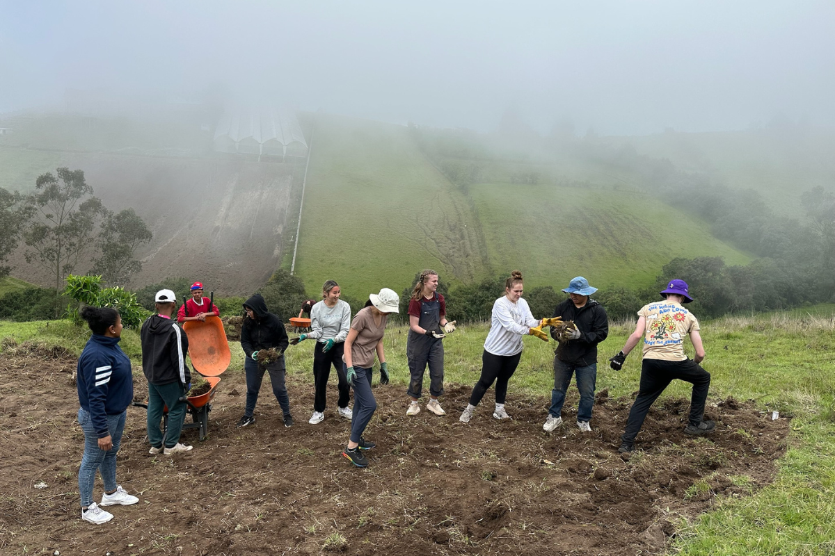 Students and local partners work in a foggy, hilly field, forming a line to pass chunks of sod and soil to each other. Wearing gloves and outdoor gear, they engage in collective physical labor to support a local environmental or agricultural project.