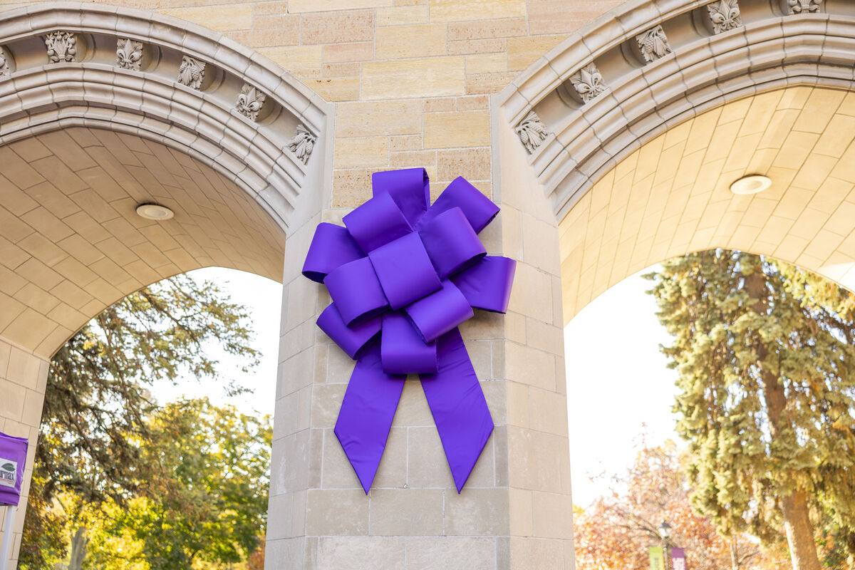 St Thomas arches with a purple bow