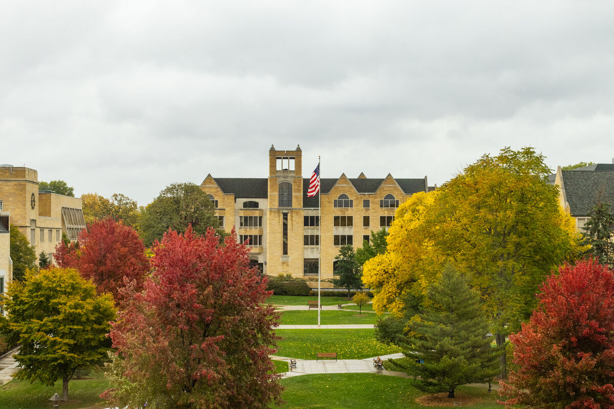 Fall trees on campus