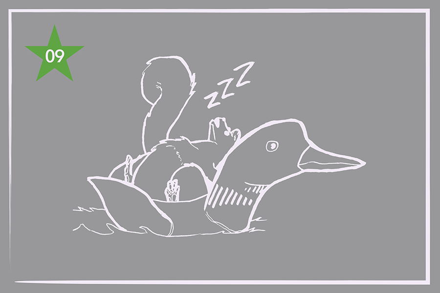 Illustration of a squirrel sleeping on the back of a floating loon