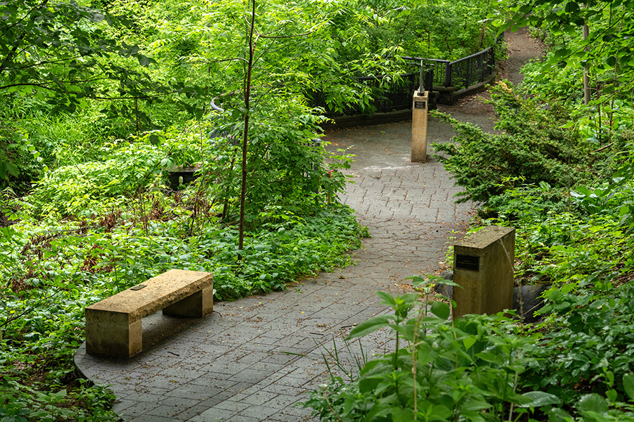 A winding stone path through the Grotto forest greenery