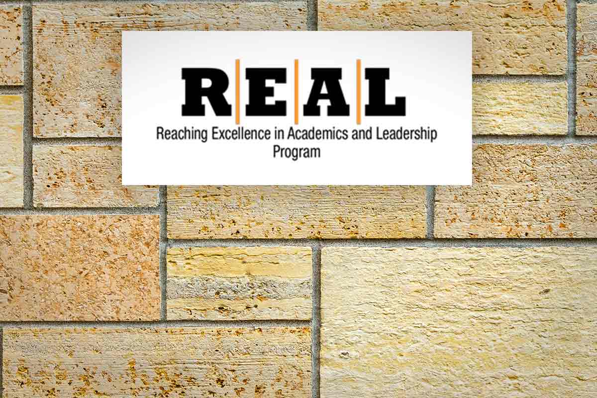 REAL Program text on yellow brick