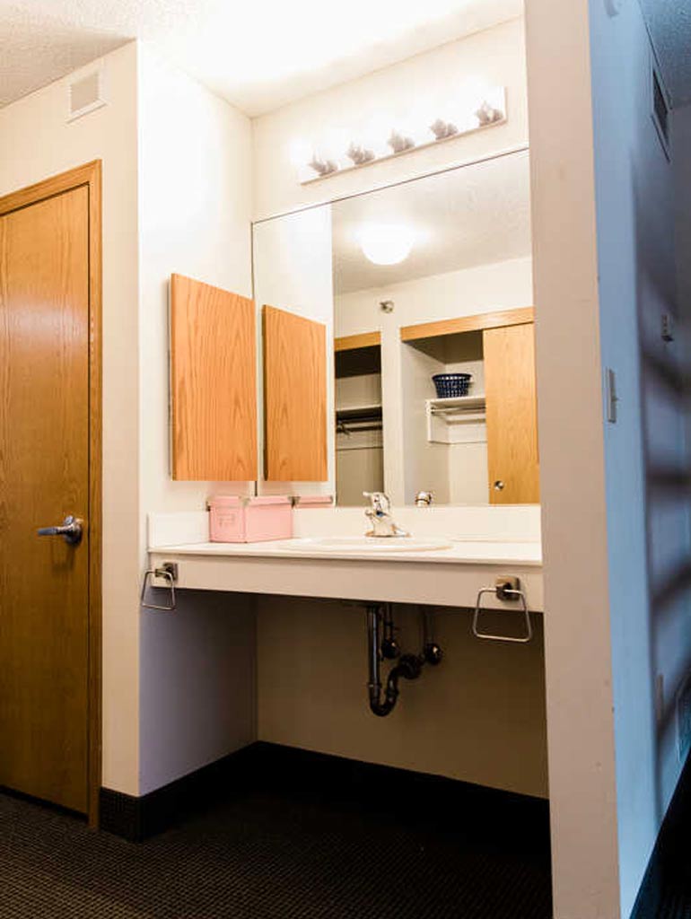 view of the in-room sink and mirror
