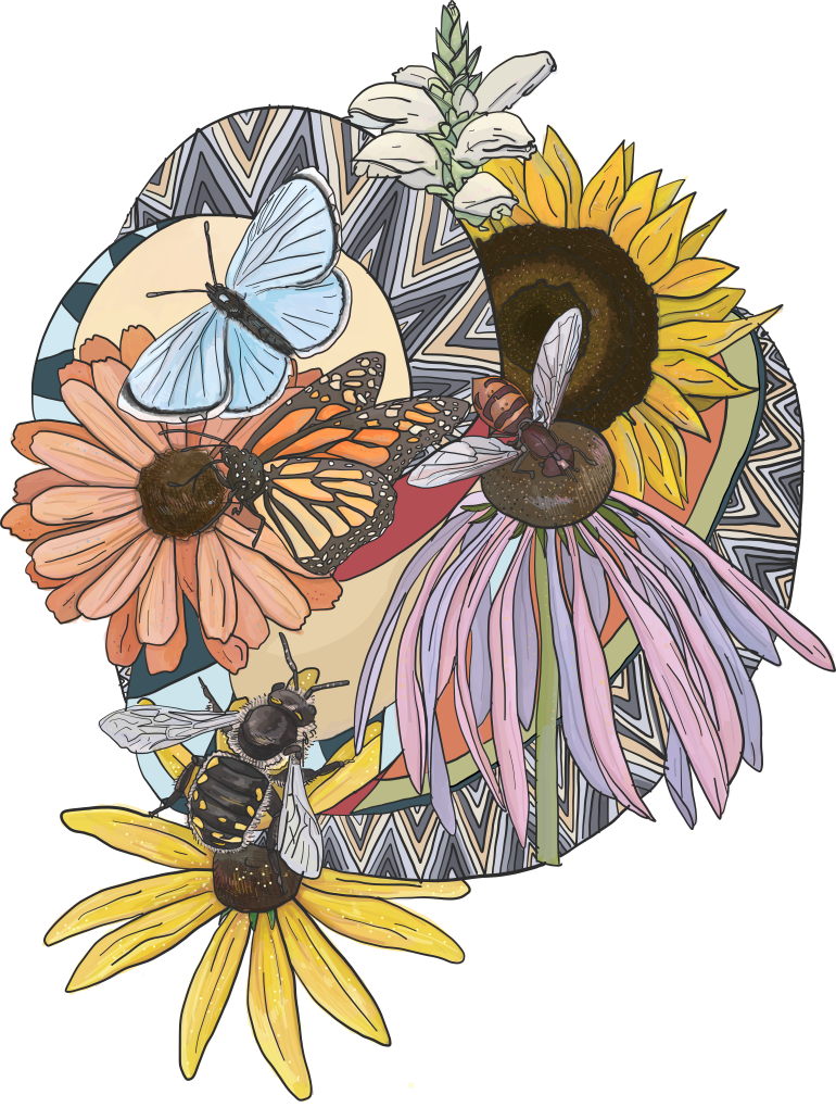 drawing of pollinators