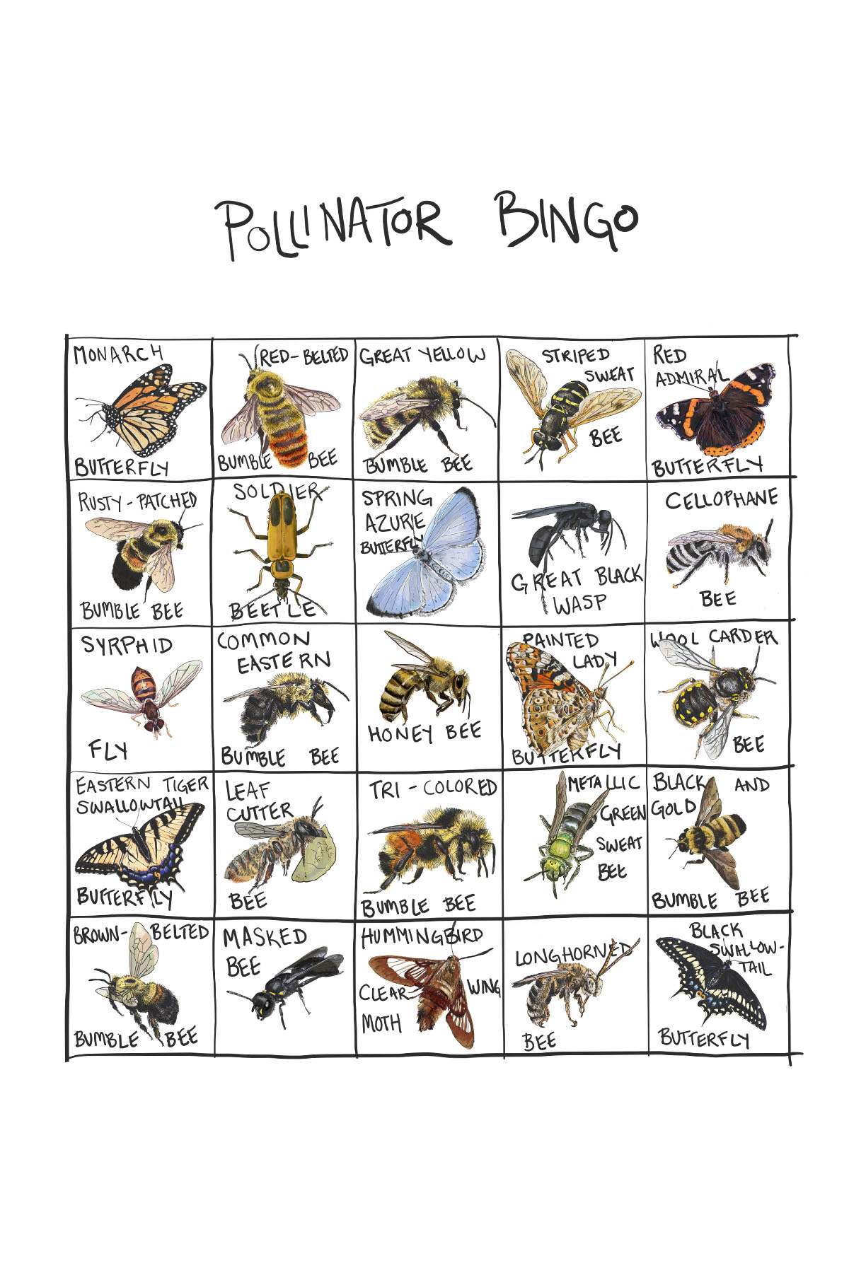 pollinator bingos