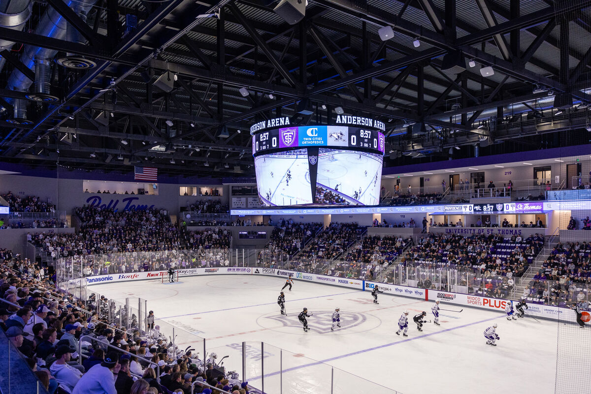 Hockey game