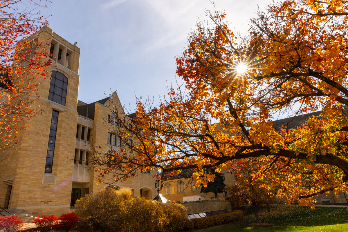 OSF library with fall trees