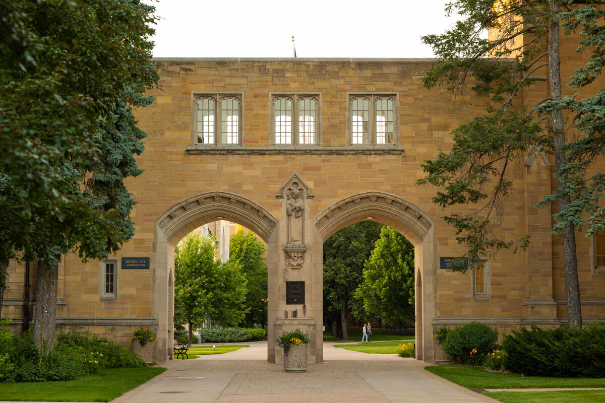 The arches 