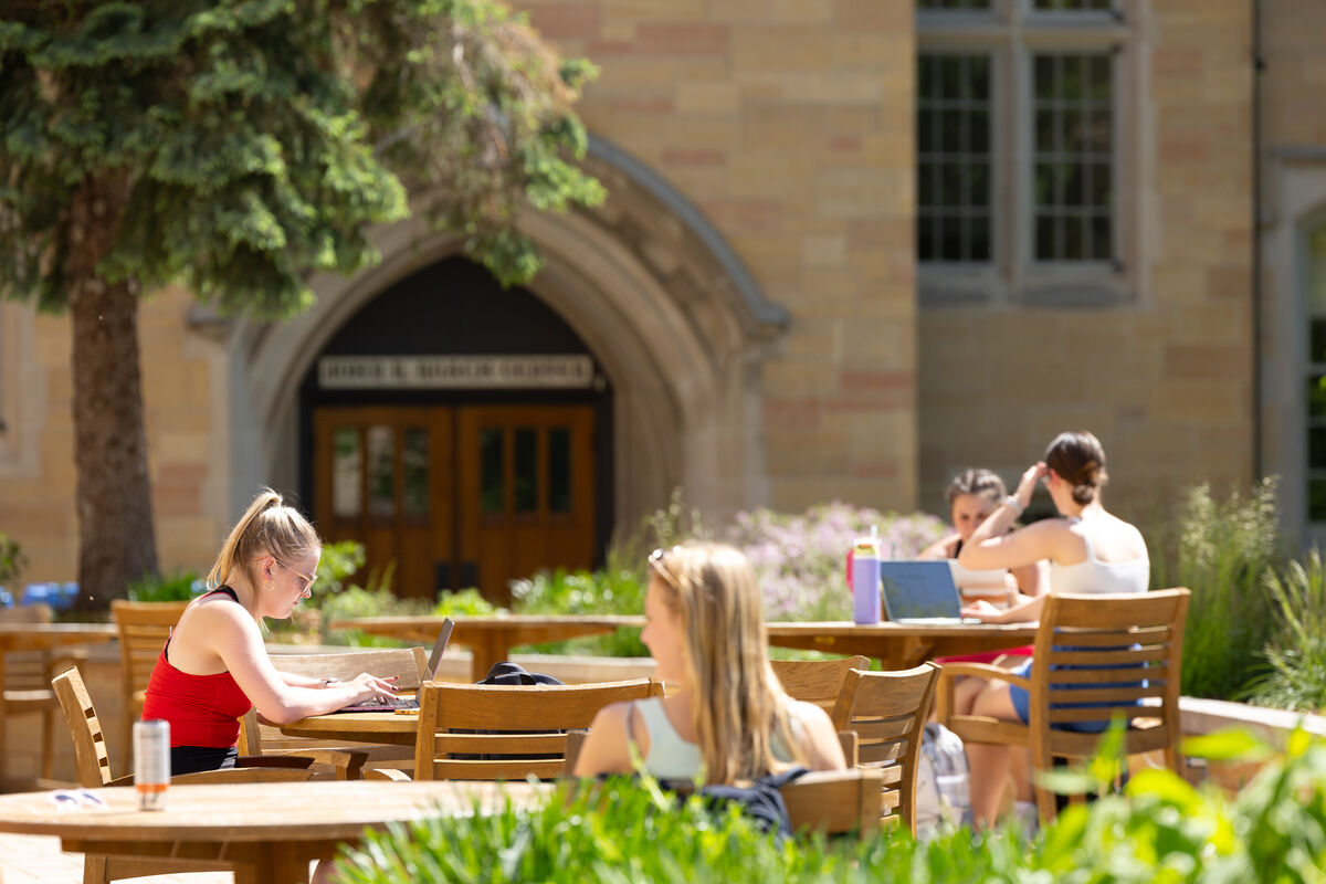 Students studying outside