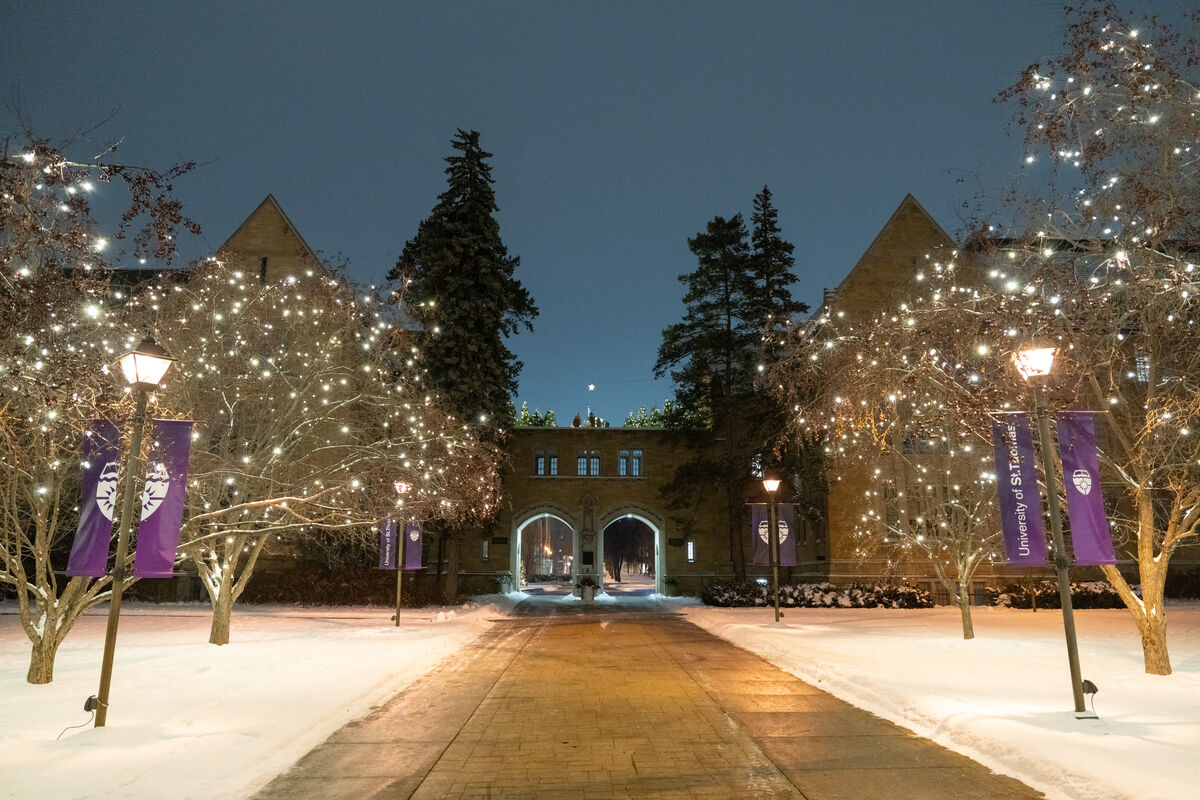 Holiday lights in front of the arches