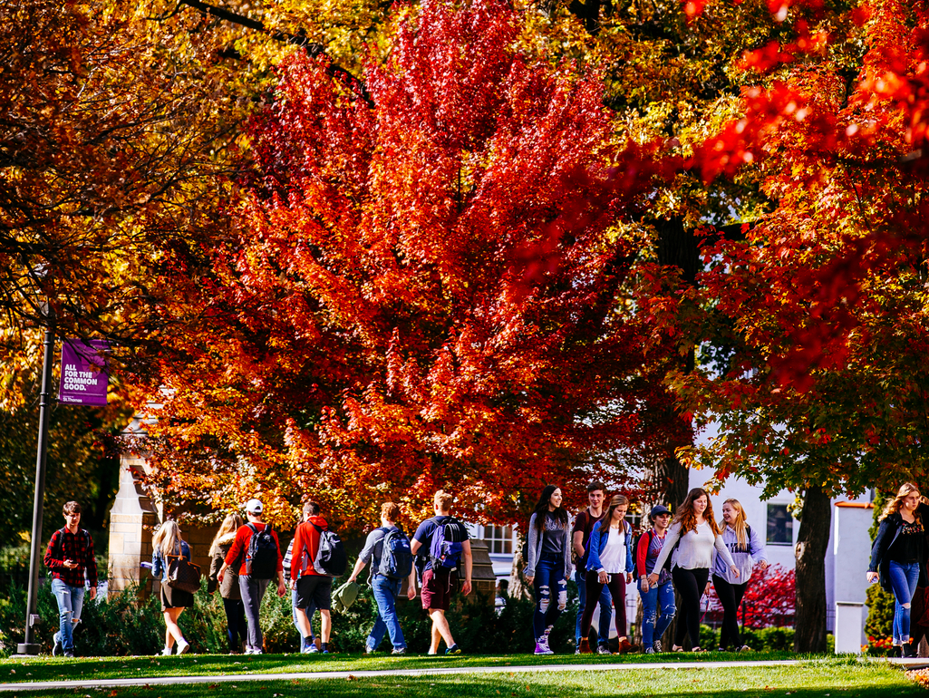 students walk to class below red-leafed autumn trees
